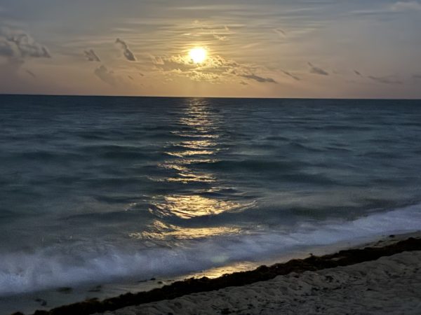 IMG_8842